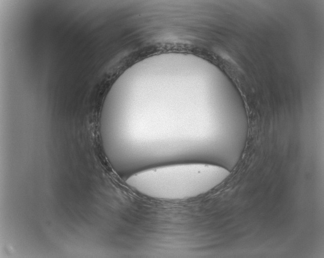 X0000070820870200606160913