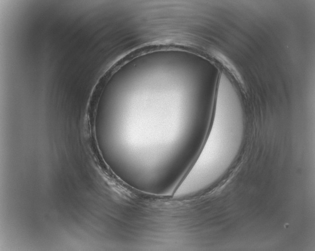 X0000070820876200606160913