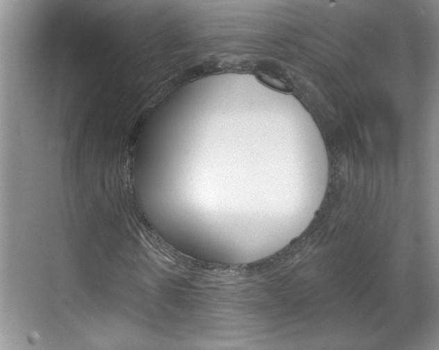 X0000070820914200606160911
