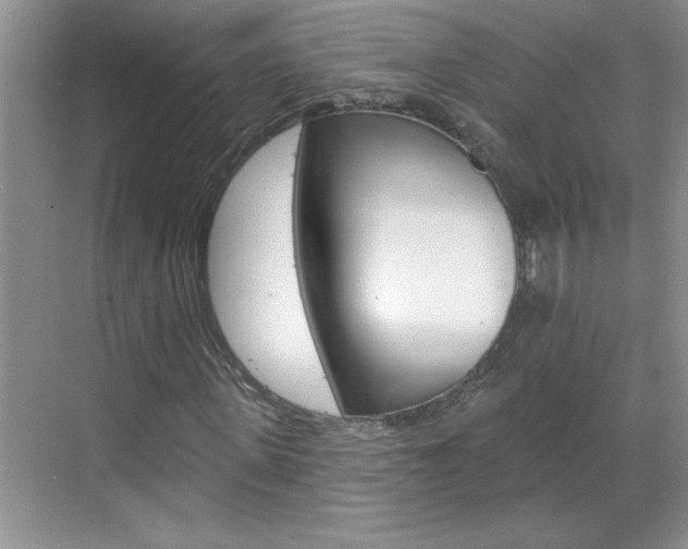 X0000070820915200606160911