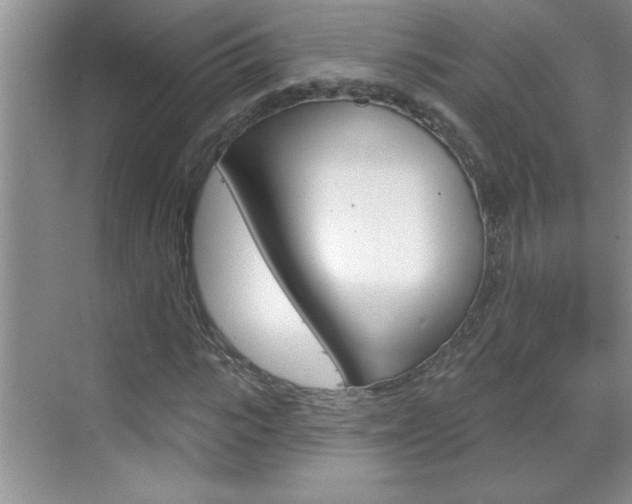 X0000070820919200606160911