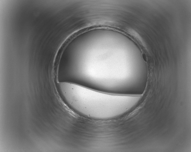 X0000070820924200606160912