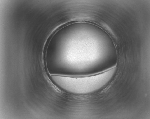 X0000070820932200606160912