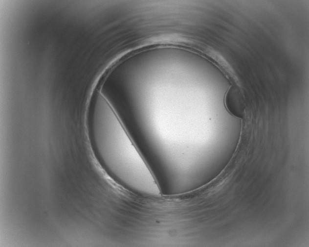 X0000070820939200606160912