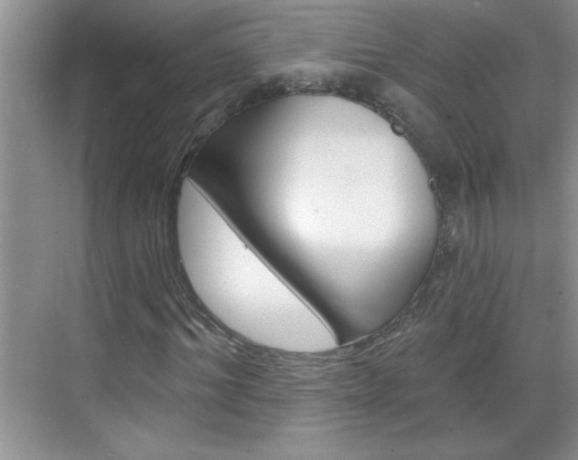 X0000070820964200606160911