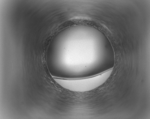 X0000070820965200606160911
