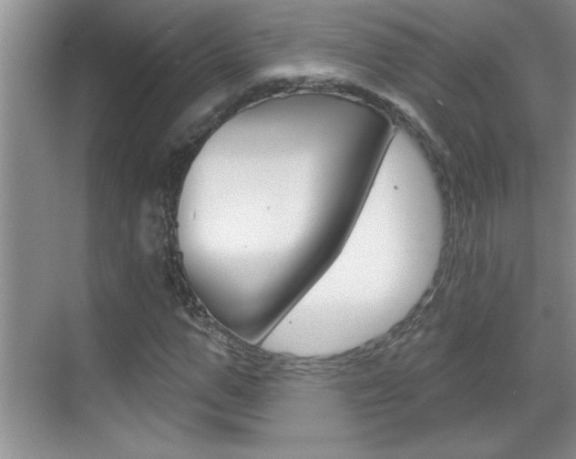 X0000070820967200606160911