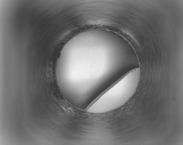 X0000070820968200606160911