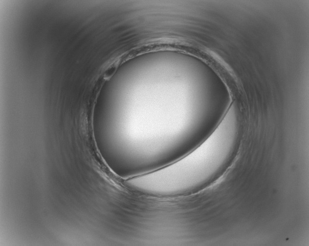 X0000070820969200606160911