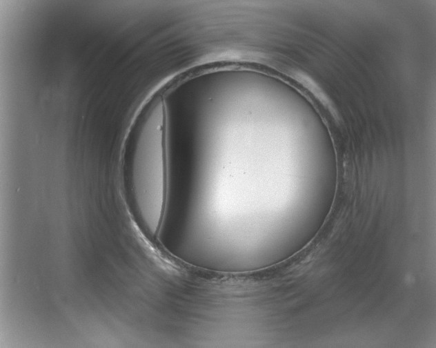 X0000070820972200606160911