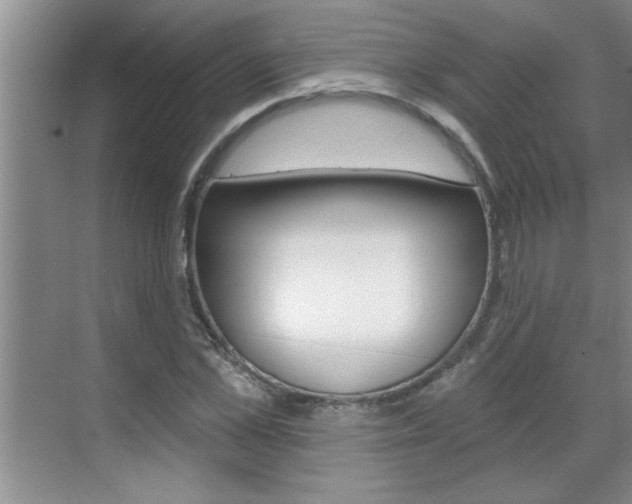 X0000070820973200606160911