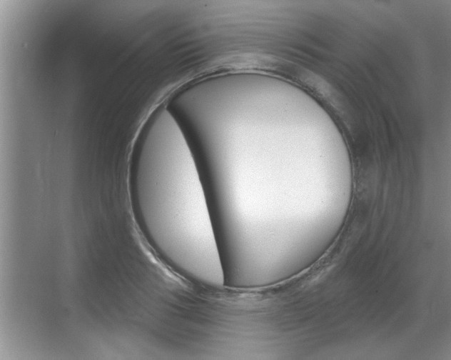 X0000070820986200606160911