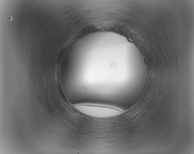 X0000070821012200606160910