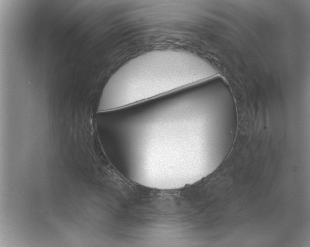 X0000070821013200606160910
