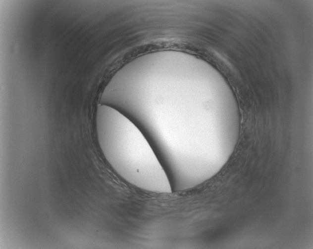 X0000070821015200606160910