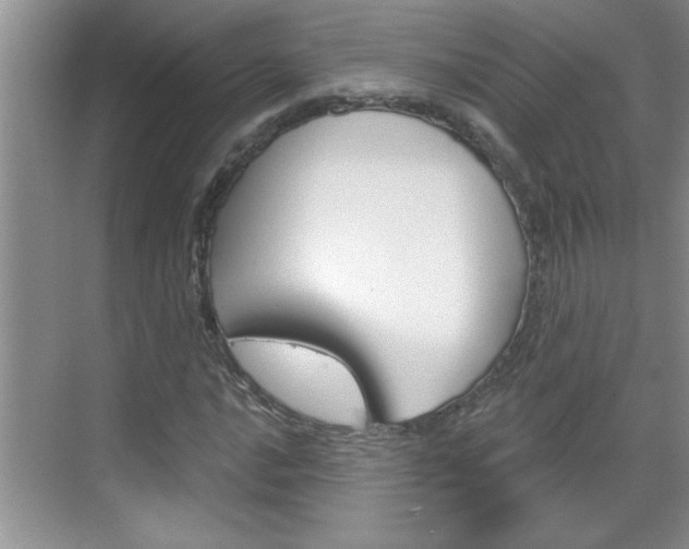 X0000070821016200606160910