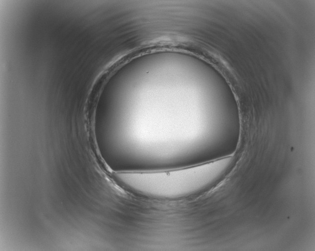 X0000070821018200606160910