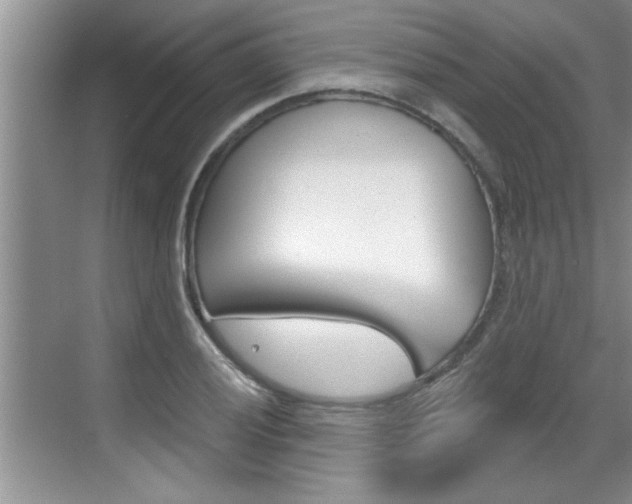X0000070821028200606160910