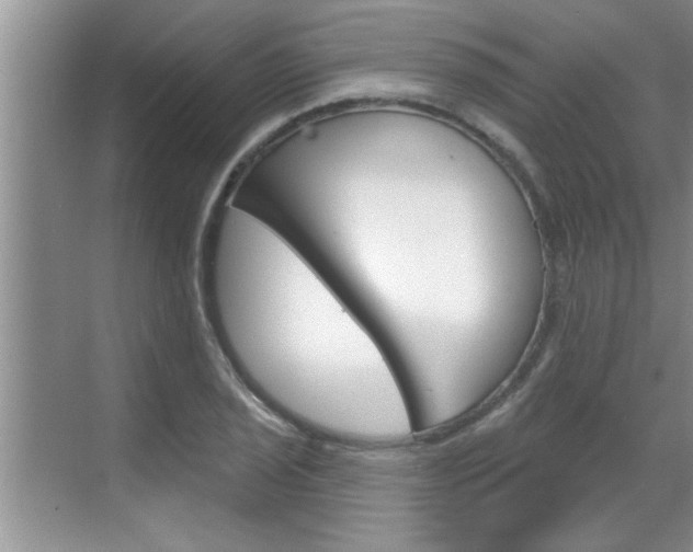 X0000070821029200606160910
