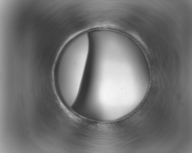 X0000070821032200606160910