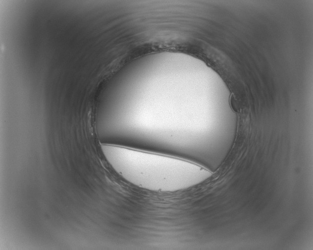 X0000070821060200606160910