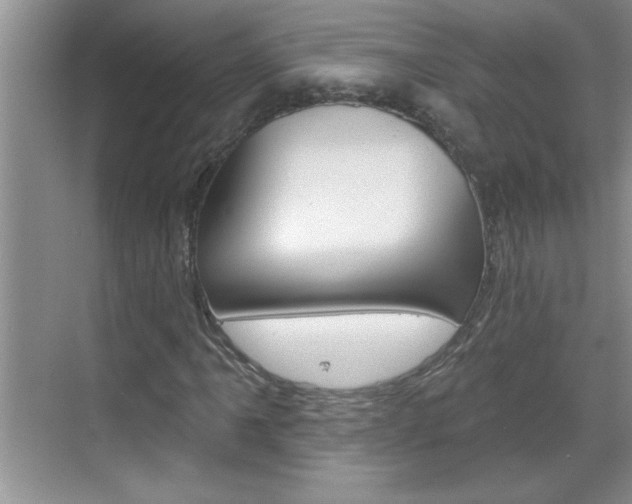 X0000070821061200606160910