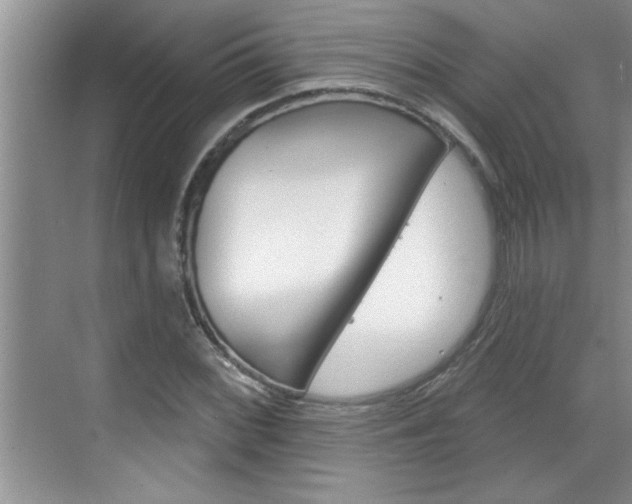 X0000070821068200606160910