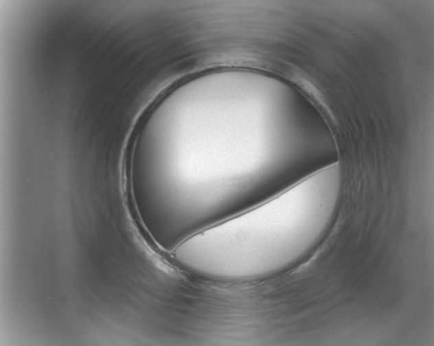 X0000070821082200606160909