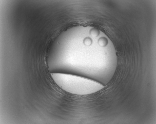 X0000070821106200606160908