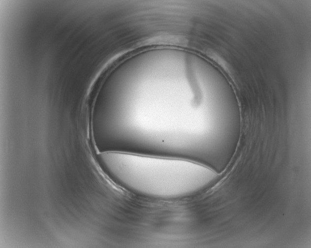 X0000070821123200606160908