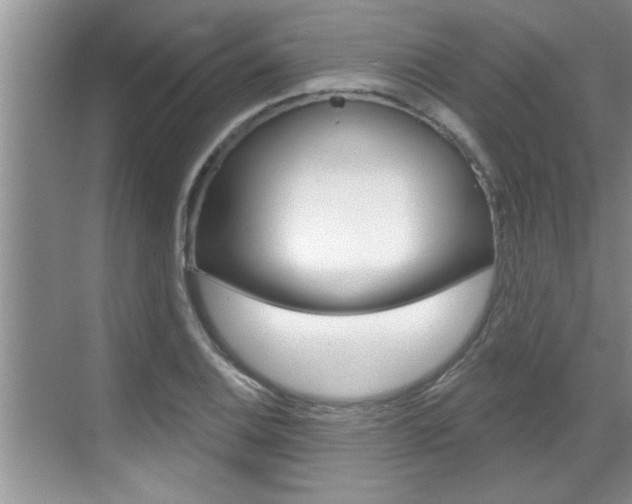 X0000070821124200606160908