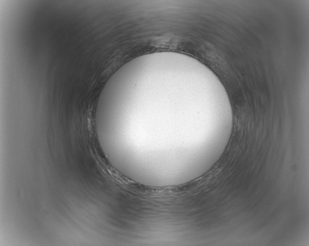 X0000070821154200606160908