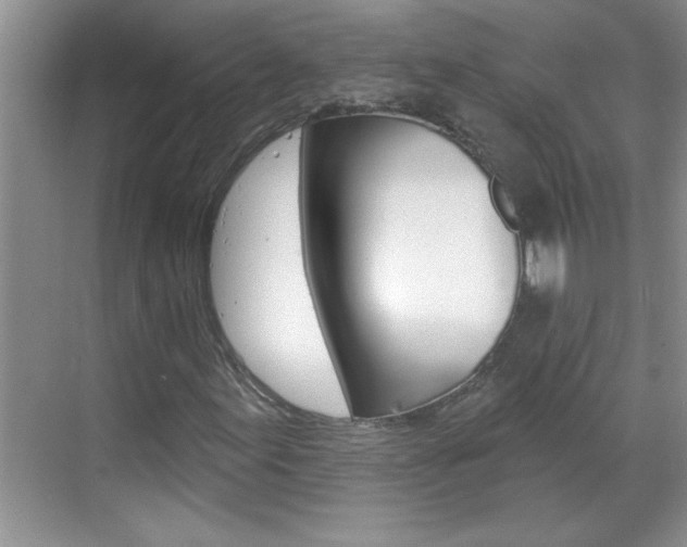 X0000070821155200606160908