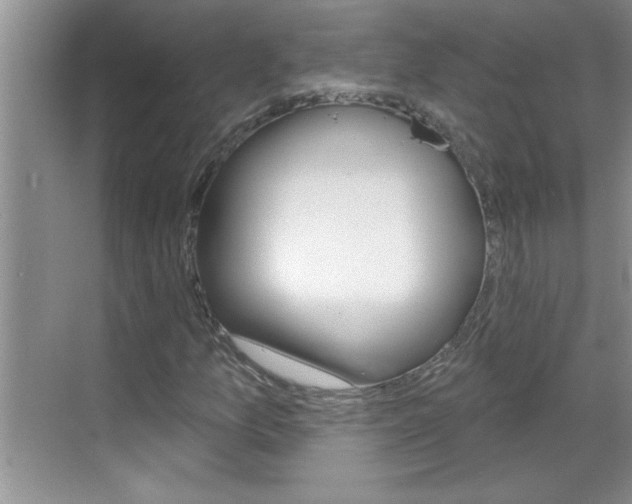 X0000070821157200606160908