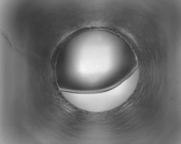 X0000070821160200606160908
