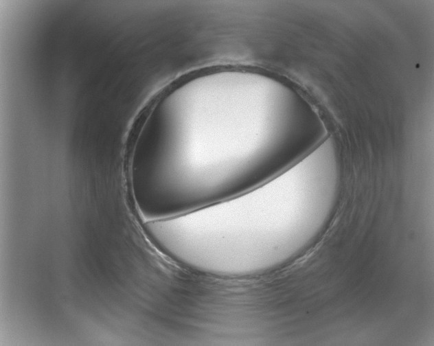 X0000070821168200606160908