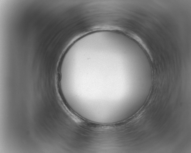 X0000070821187200606160908