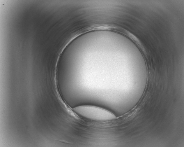 X0000070821194200606160907