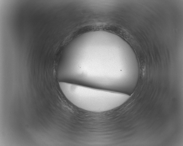 X0000070821204200606160907