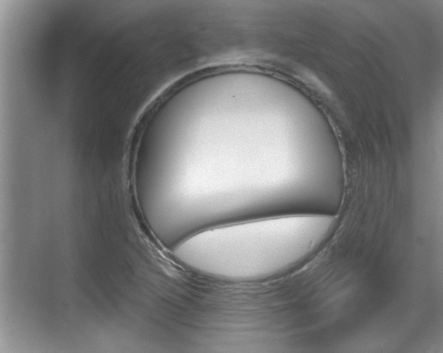 X0000070821216200606160907