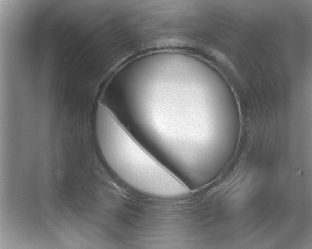 X0000070821217200606160907
