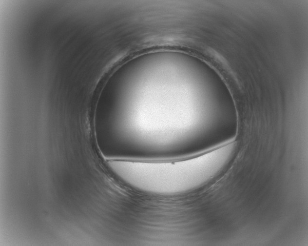 X0000070821218200606160907