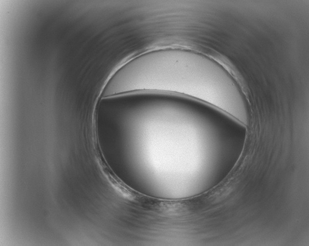 X0000070821242200606160907