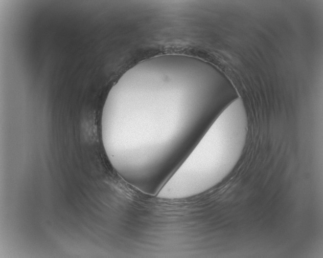 X0000070821252200606160906