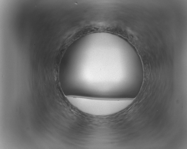 X0000070821253200606160906