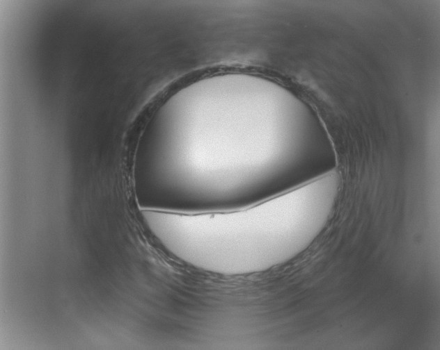 X0000070821256200606160906
