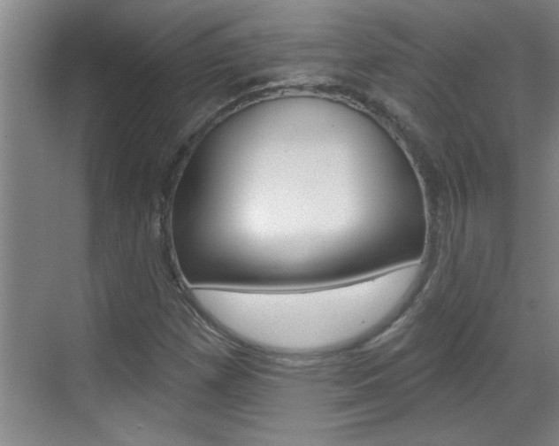 X0000070821257200606160906