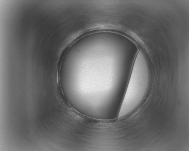 X0000070821269200606160906