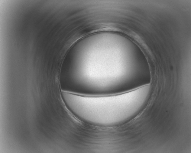 X0000070821281200606160906