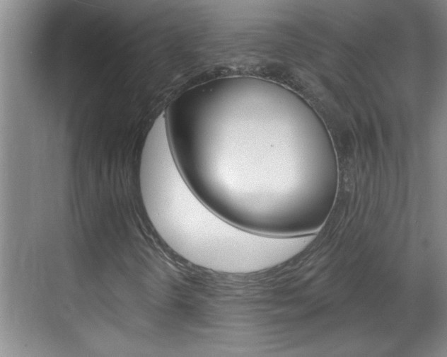 X0000070821298200606160905